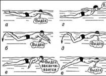 Оздоровительное плавание для позвоночника — подборка упражнений в бассейне Техника плавания в ластах