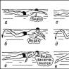 Здравословно плуване за гръбначния стълб - селекция от упражнения в басейн Техника за плуване с плавници