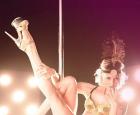 Pole classes - an effective sports load Elements of floor dance for beginners